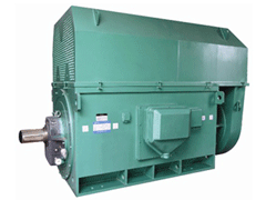 YKS4505-4Y系列6KV高压电机