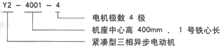 YR系列(H355-1000)高压YKS4505-4三相异步电机西安西玛电机型号说明